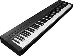 Can I Use a Piano Keyboard for Successful Lessons